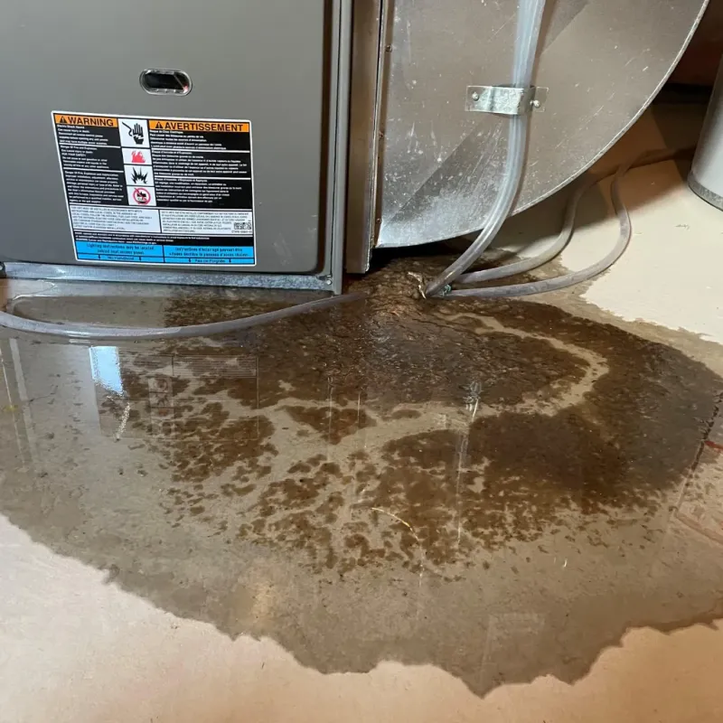 Appliance Leak Cleanup in Bryans Road, MD